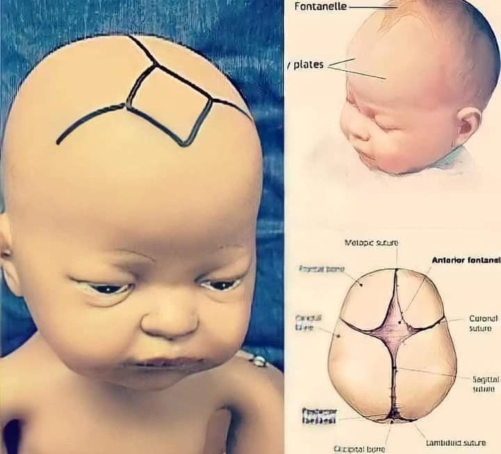 لماذا يجب ألا نلمس قمة رأس طفل حديث الولادة.